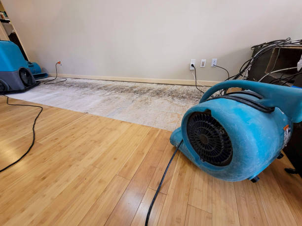 Professional Burst Pipe Water Damage technician working in Hermitage, TN